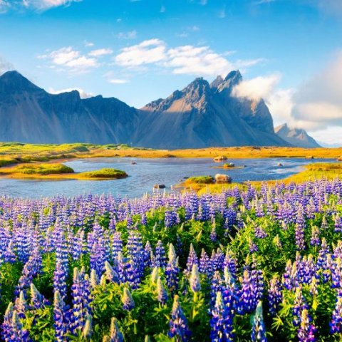 Sumarlokun skrifstofu