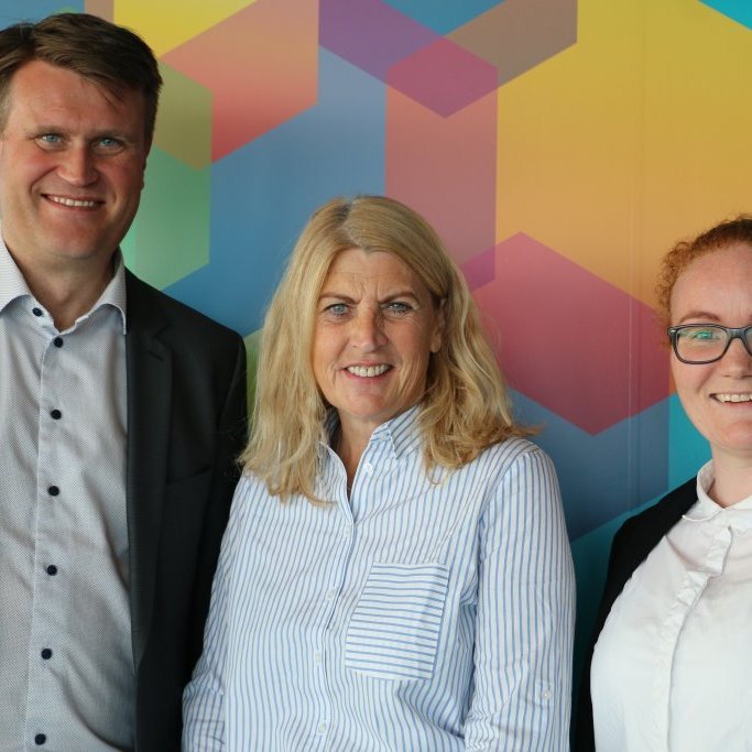 andvania_skjar_afmaeli