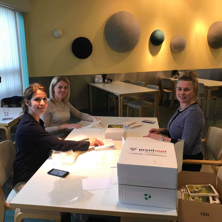 hjalparhond_islandsbanka_2018_il_05