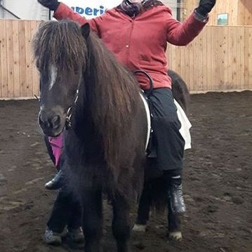 freyja-a-hestbaki_crop