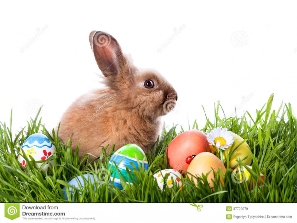 Gleðilega páskahátíð !!