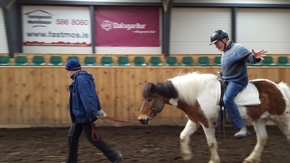 Reiðnámskeið  - þjálfun á hestbaki - byrjar 5. október