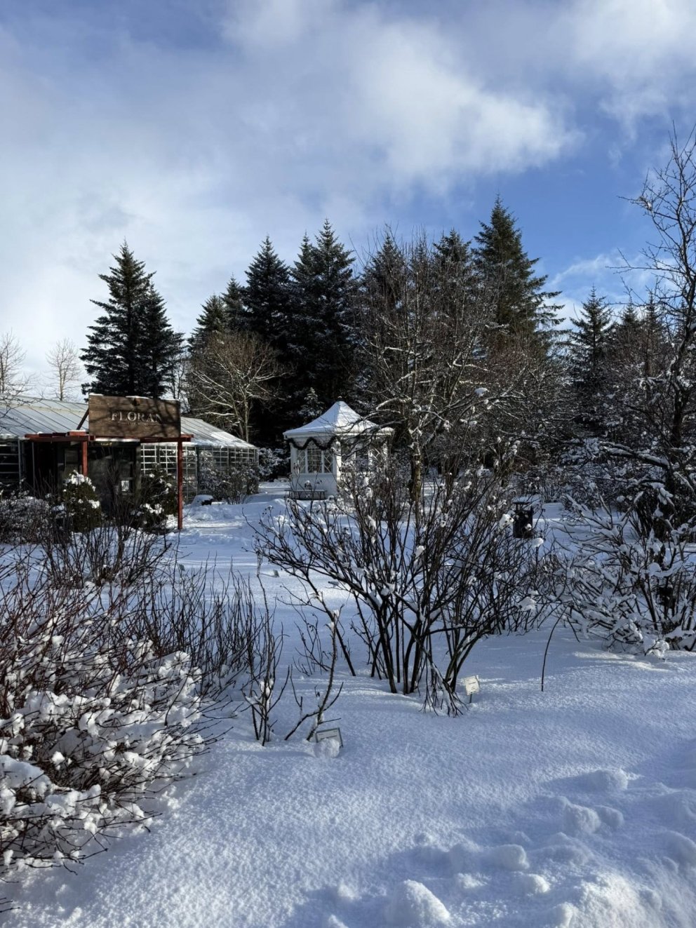 MS ganga Reykjavík í dag