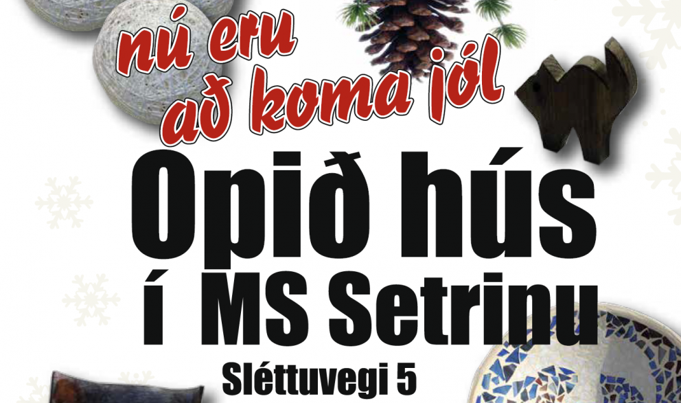 Opið hús / Basar í MS Setrinu 17. nóvember